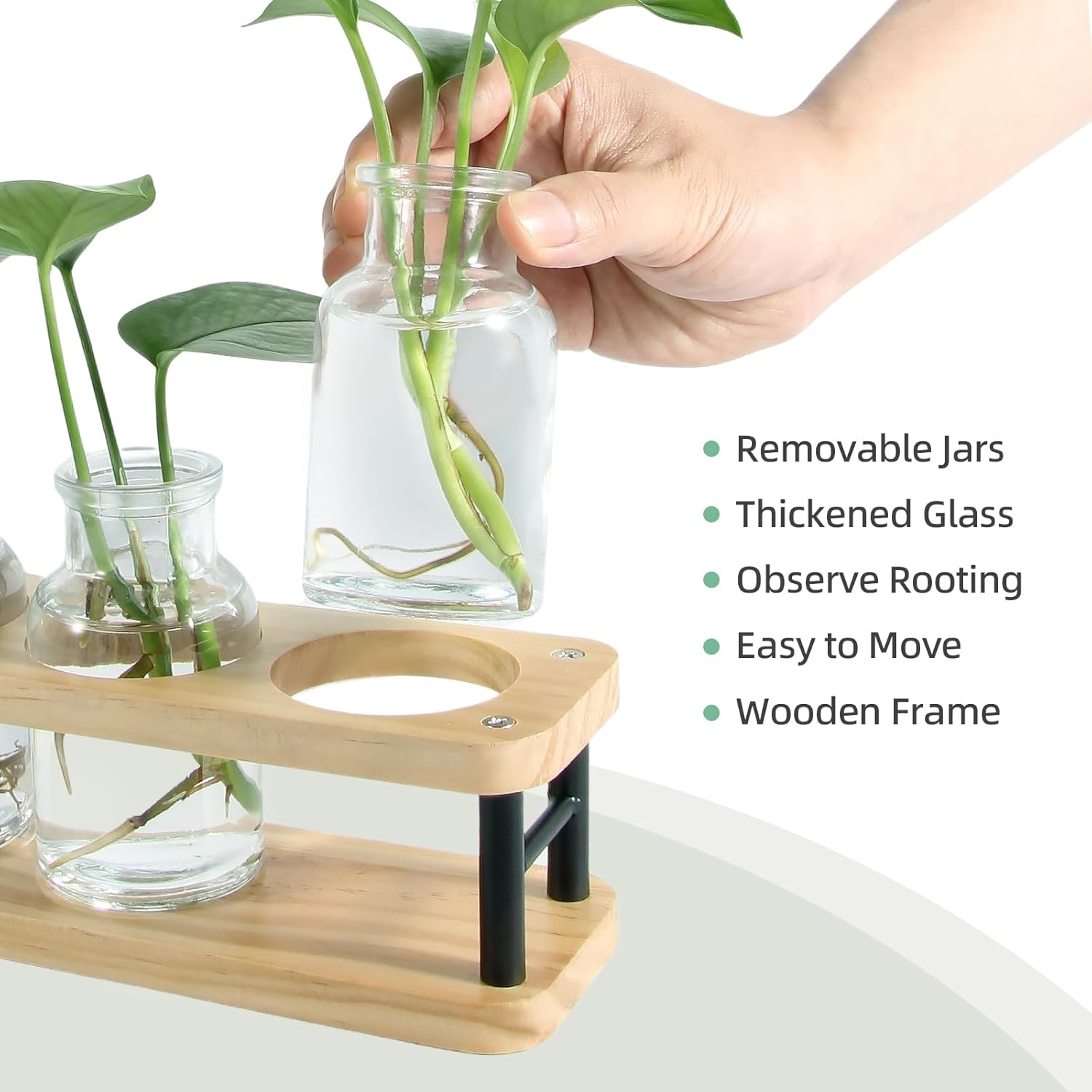 Propagation Station with Woode - Propagation Station Vase のレビューと価格