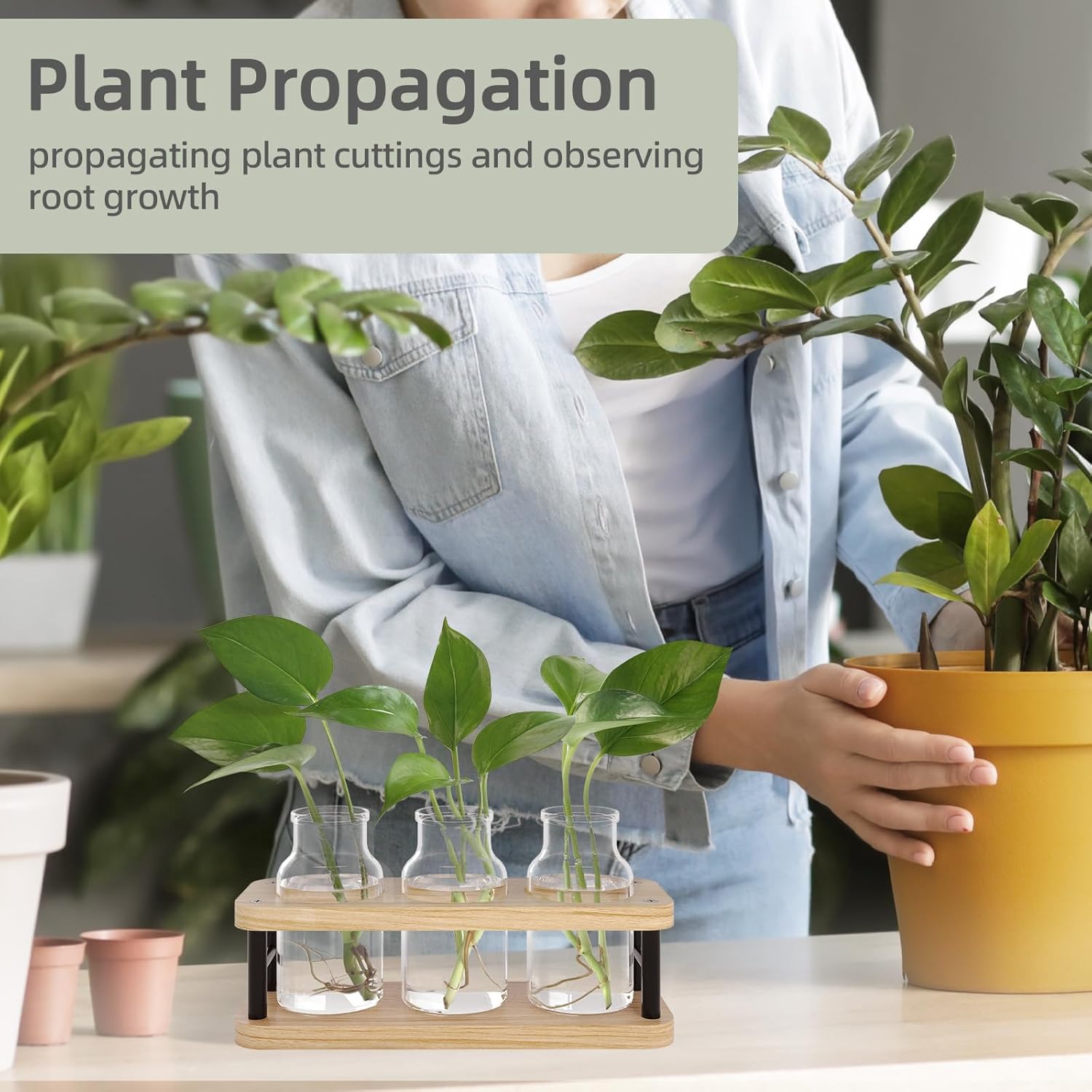 Propagation Station with Woode - Propagation Station Vase のレビューと価格