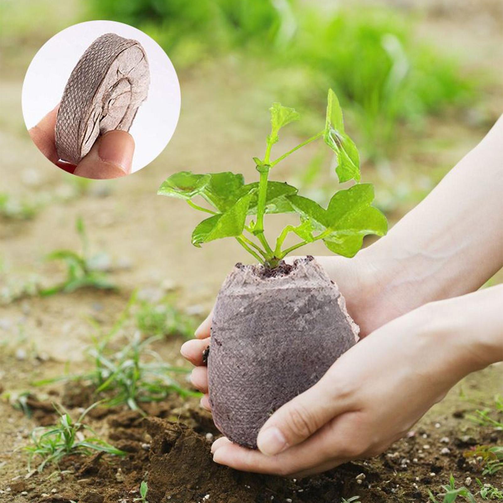 100 Piece Potting Mix Trays 30 - Peat Pellet Tray のレビューと価格
