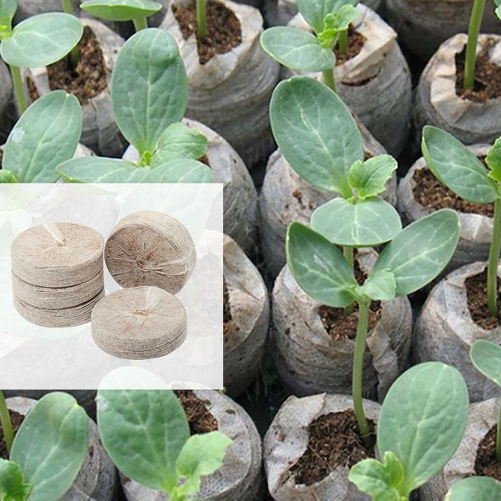 100 Piece Potting Mix Trays 30 - Peat Pellet Tray のレビューと価格