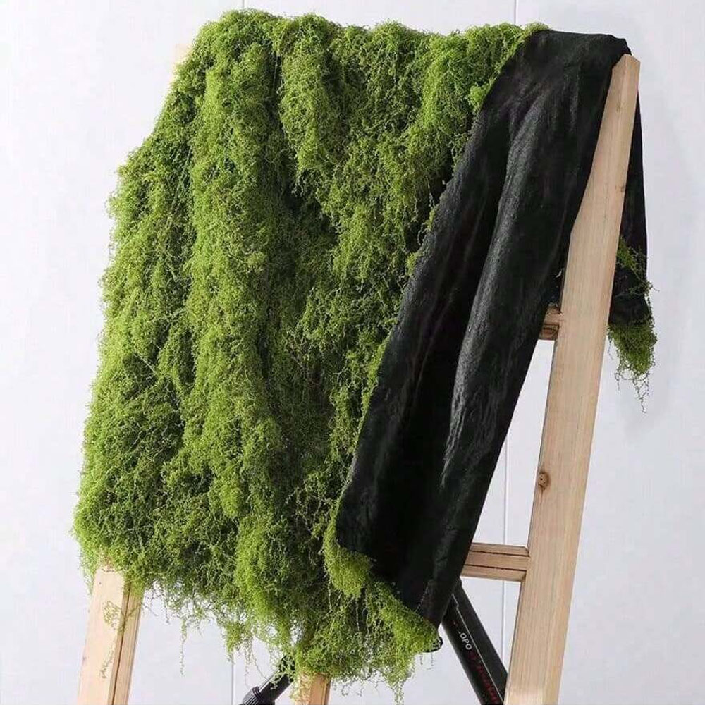 1*1m Fake Moss DIY Crafts Gras - Sphagnum Moss Dry のレビューと価格