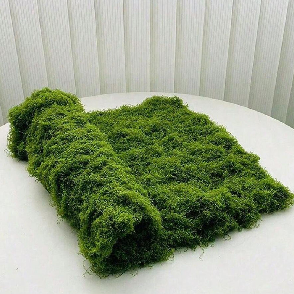 1*1m Fake Moss DIY Crafts Gras - Sphagnum Moss Dry のレビューと価格