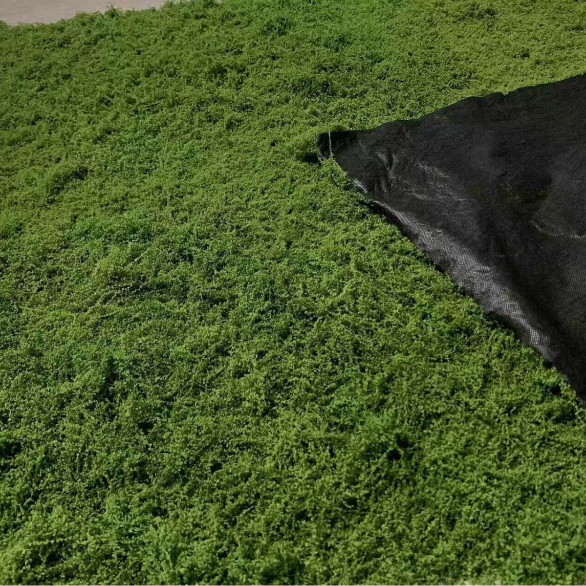 1*1m Fake Moss DIY Crafts Gras - Sphagnum Moss Dry のレビューと価格