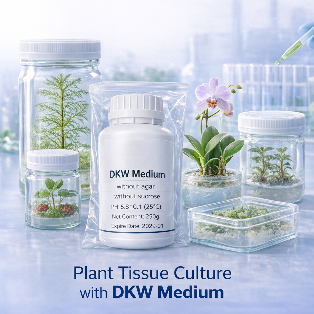 DKW Medium Plant Tissue Cultur - Agar Tissue Culture のレビューと価格