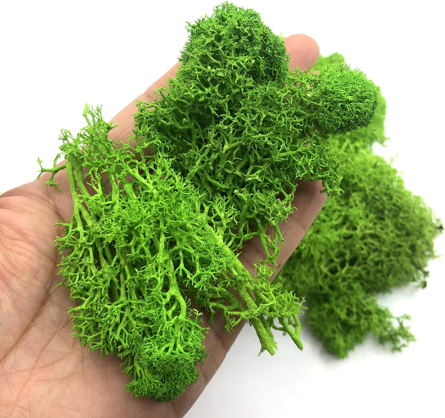 200g Artificial Green Plants M - Sphagnum Moss Dry のレビューと価格