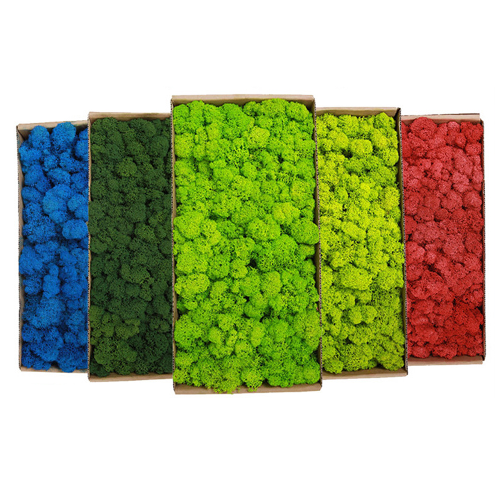 200g Artificial Green Plants M - Sphagnum Moss Dry のレビューと価格