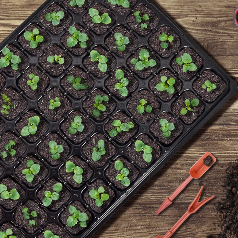 ABGH-10 Pack Seed Starter Tray - Propagation Tray 72 のレビューと価格
