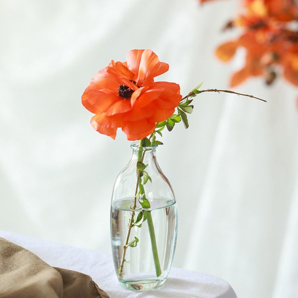 Fashion Retro Flower Vase Glas - Propagation Station Vase のレビューと価格