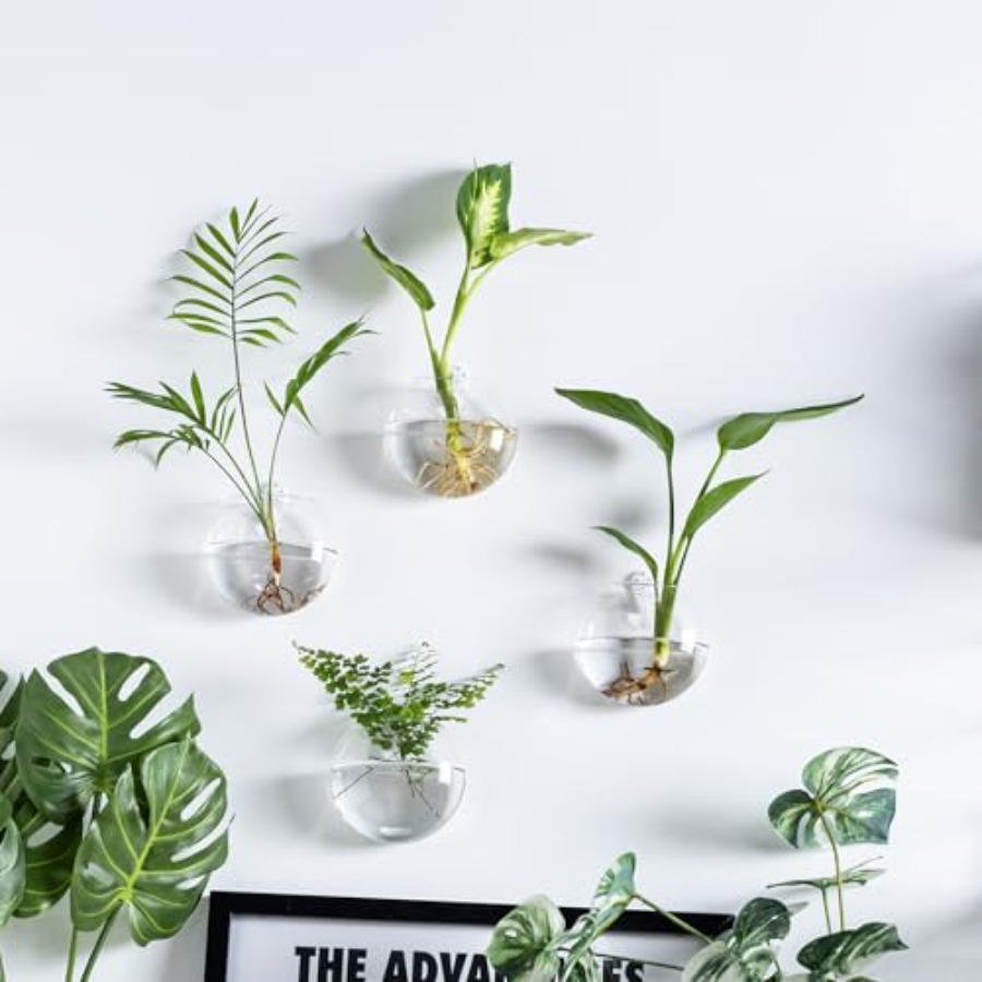 Wall Hanging Planter Propagati - Propagation Station Vase のレビューと価格
