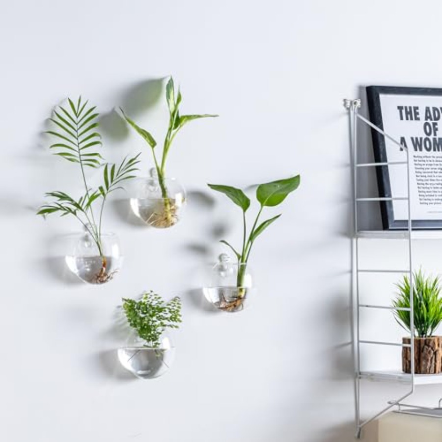 Wall Hanging Planter Propagati - Propagation Station Vase のレビューと価格