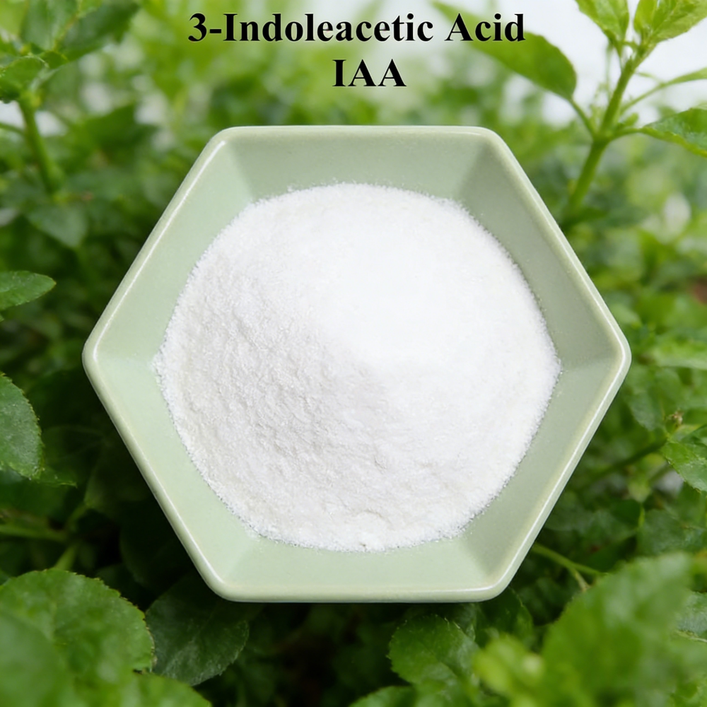 3-indoleacetic Acid IAA Auxina - Rooting Hormone Powder のレビューと価格