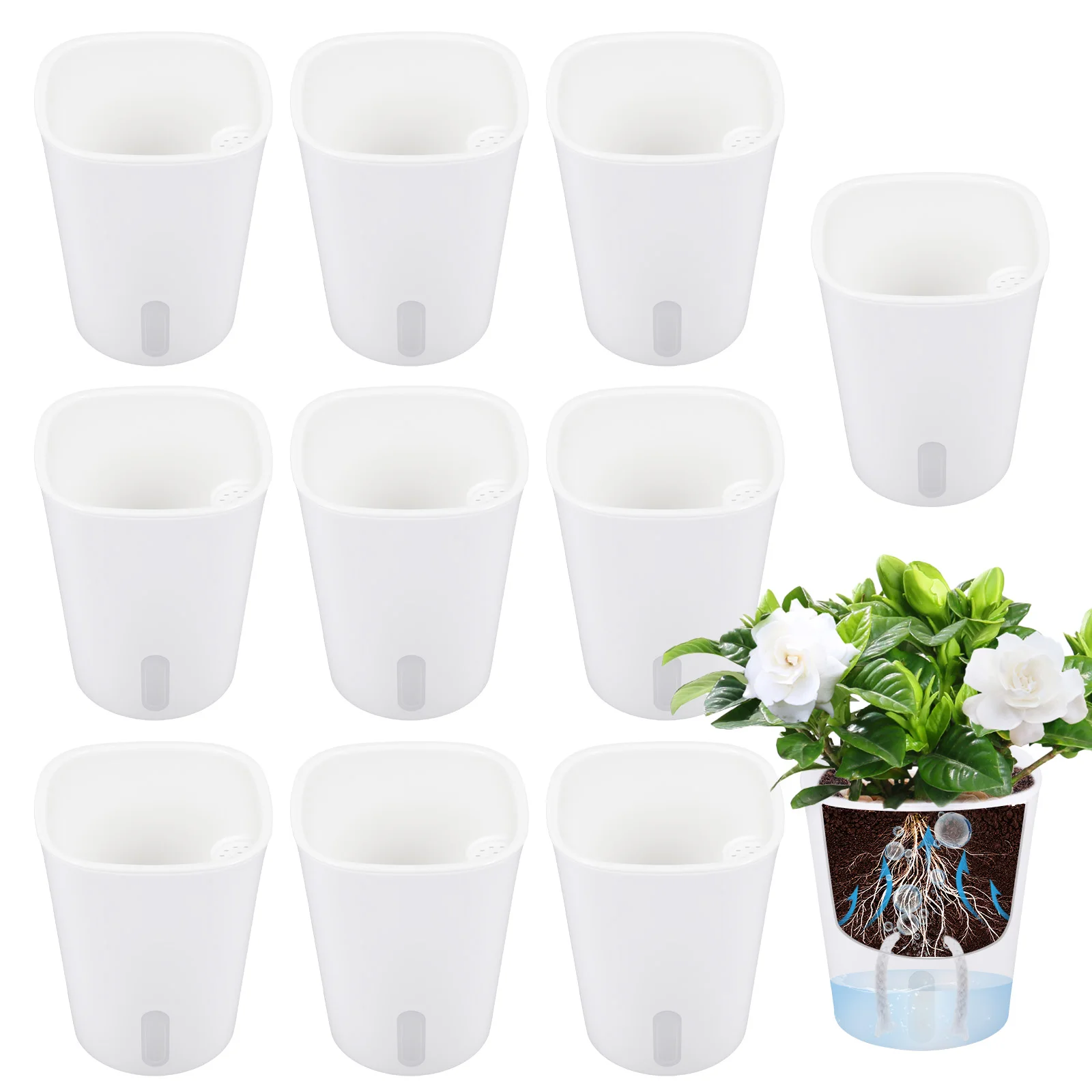 10 Pcs Self Watering Planter L - Self Watering Insert のレビューと価格