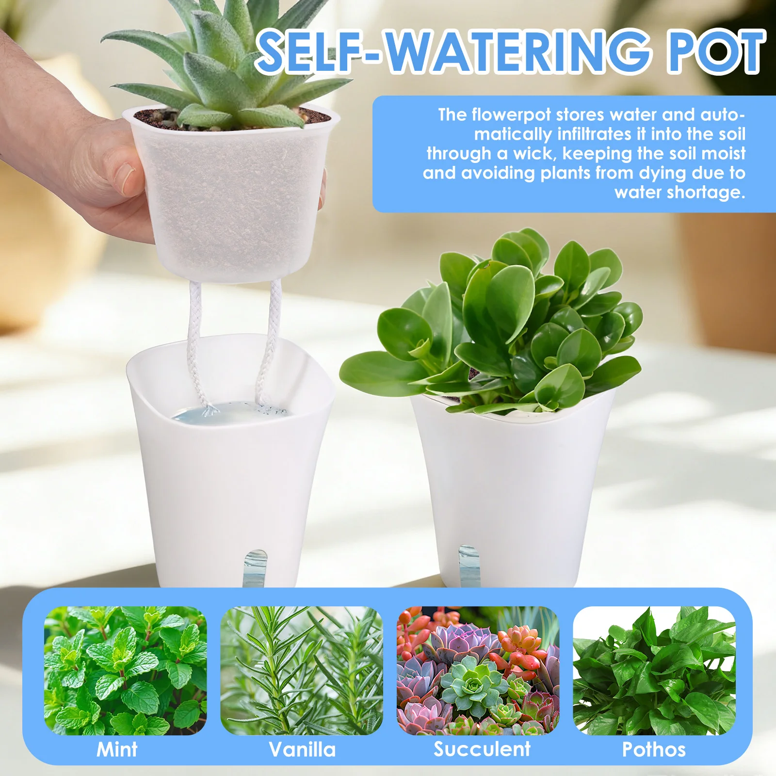10 Pcs Self Watering Planter L - Self Watering Insert のレビューと価格