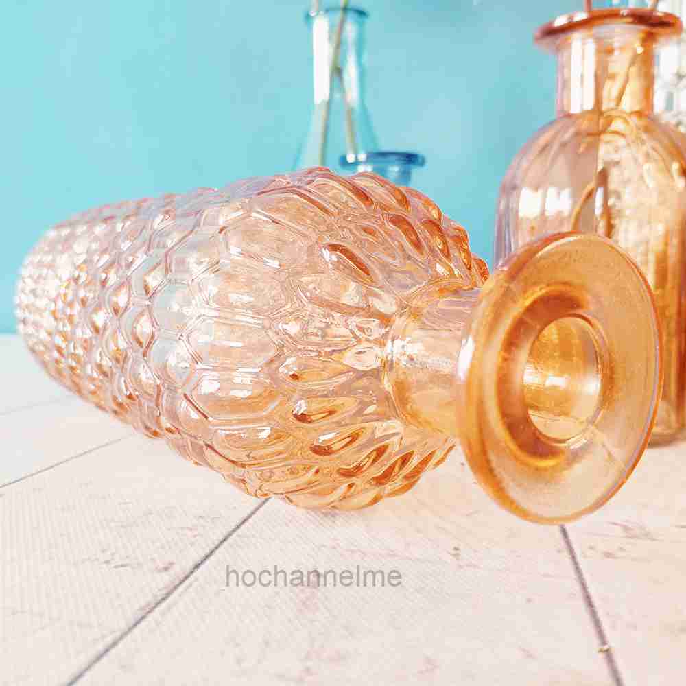 Glass Vase Living Room Decorat - Propagation Station Vase のレビューと価格