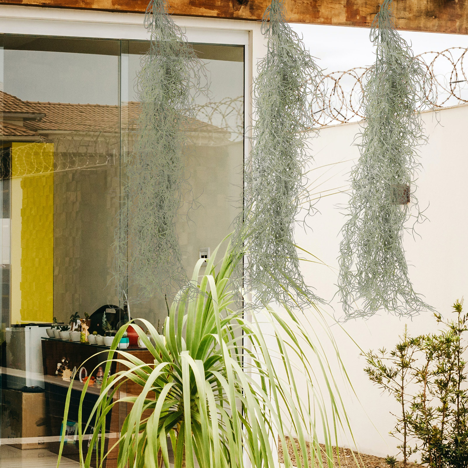Hanging Moss Decor Artificial  - Sphagnum Moss Dry のレビューと価格