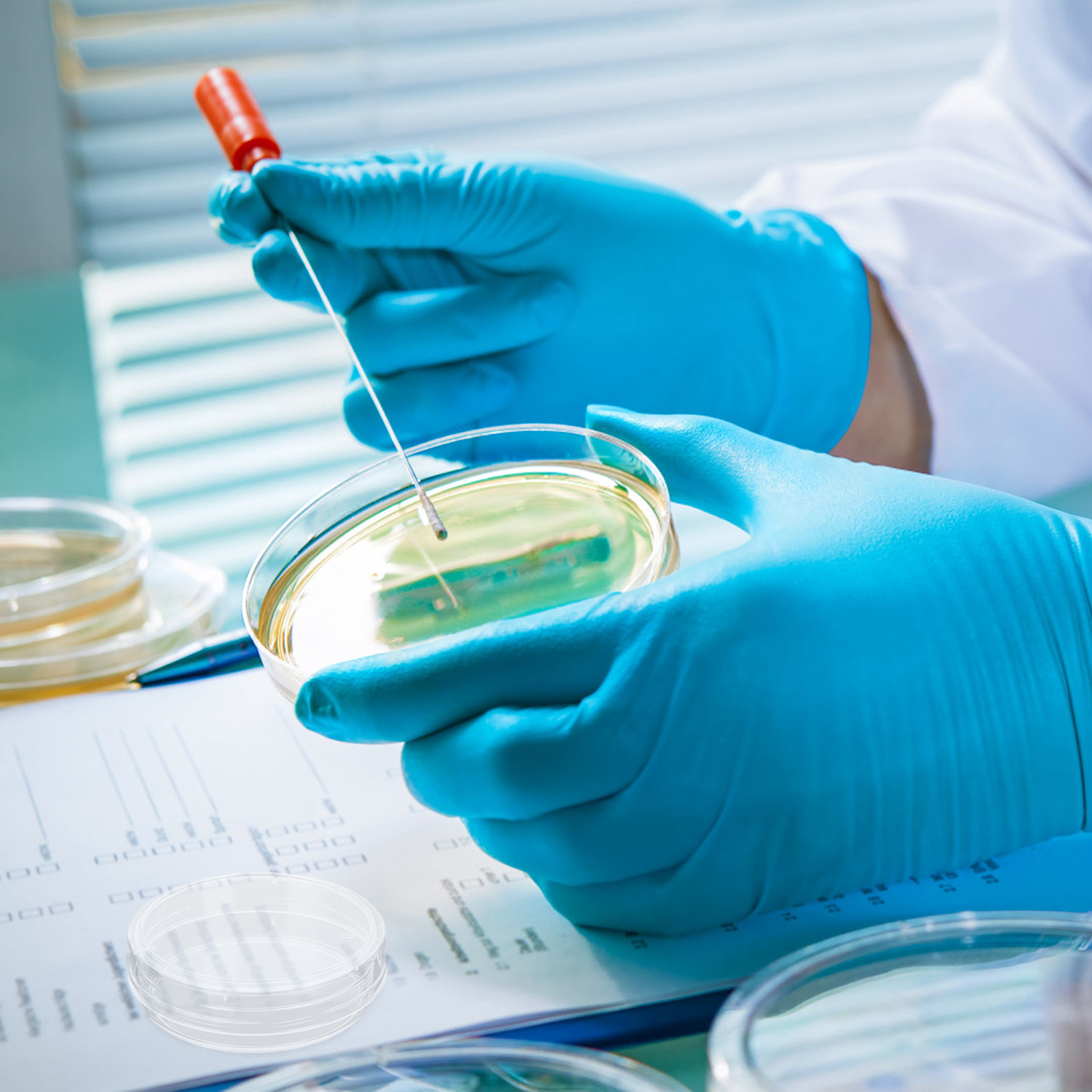 30Pcs Petri Dishes Clear Plast - Agar Tissue Culture のレビューと価格