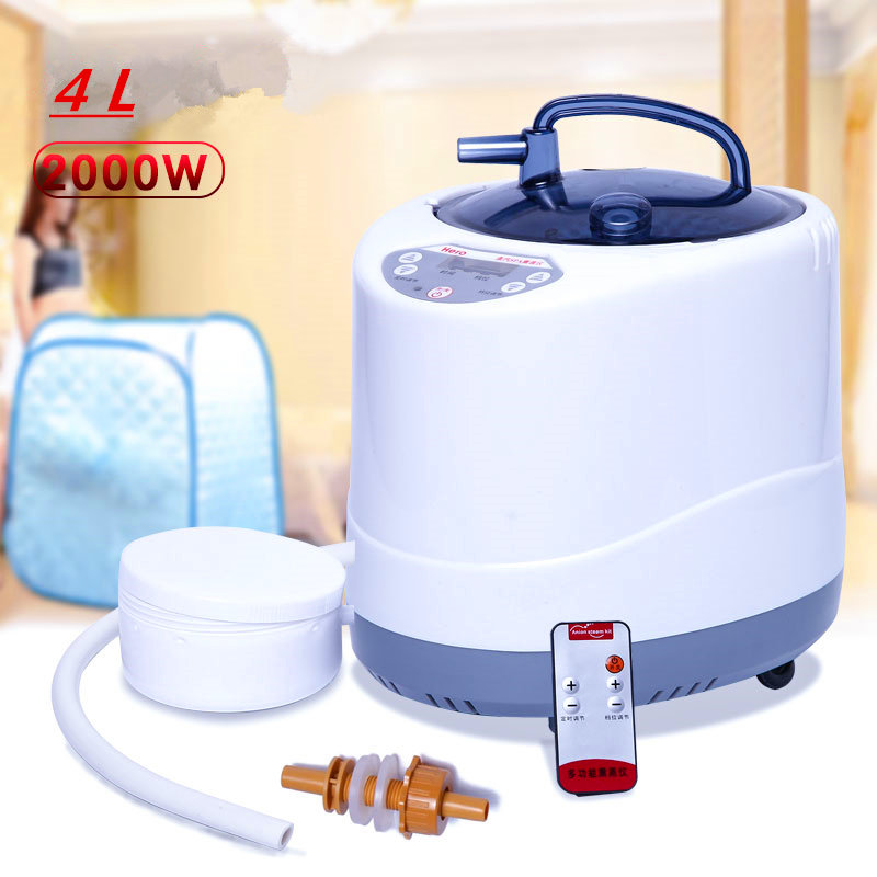 Steam Generator 220V/110V  EU  - Self Watering Insert のレビューと価格