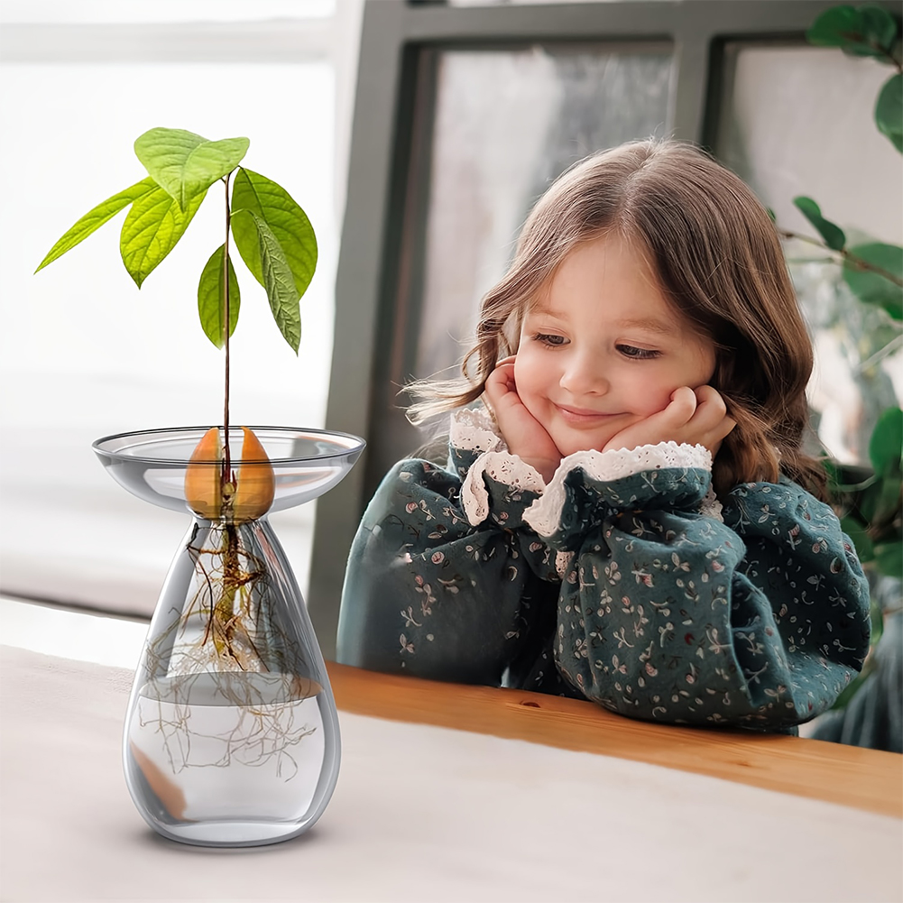 Avocado Seed Starter Vase Tran - Propagation Station Vase のレビューと価格