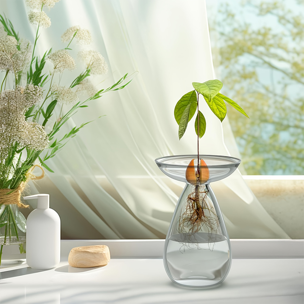Avocado Seed Starter Vase Tran - Propagation Station Vase のレビューと価格