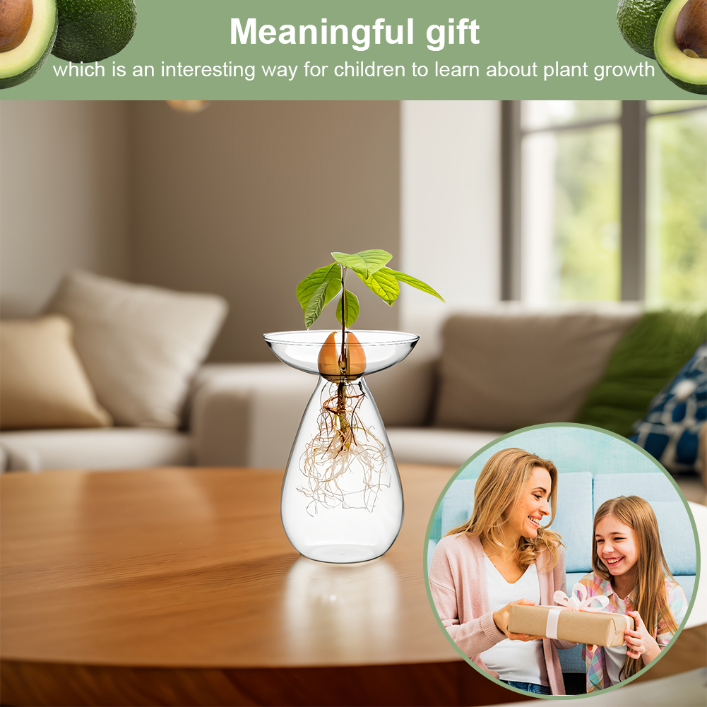 Avocado Seed Starter Vase Tran - Propagation Station Vase のレビューと価格