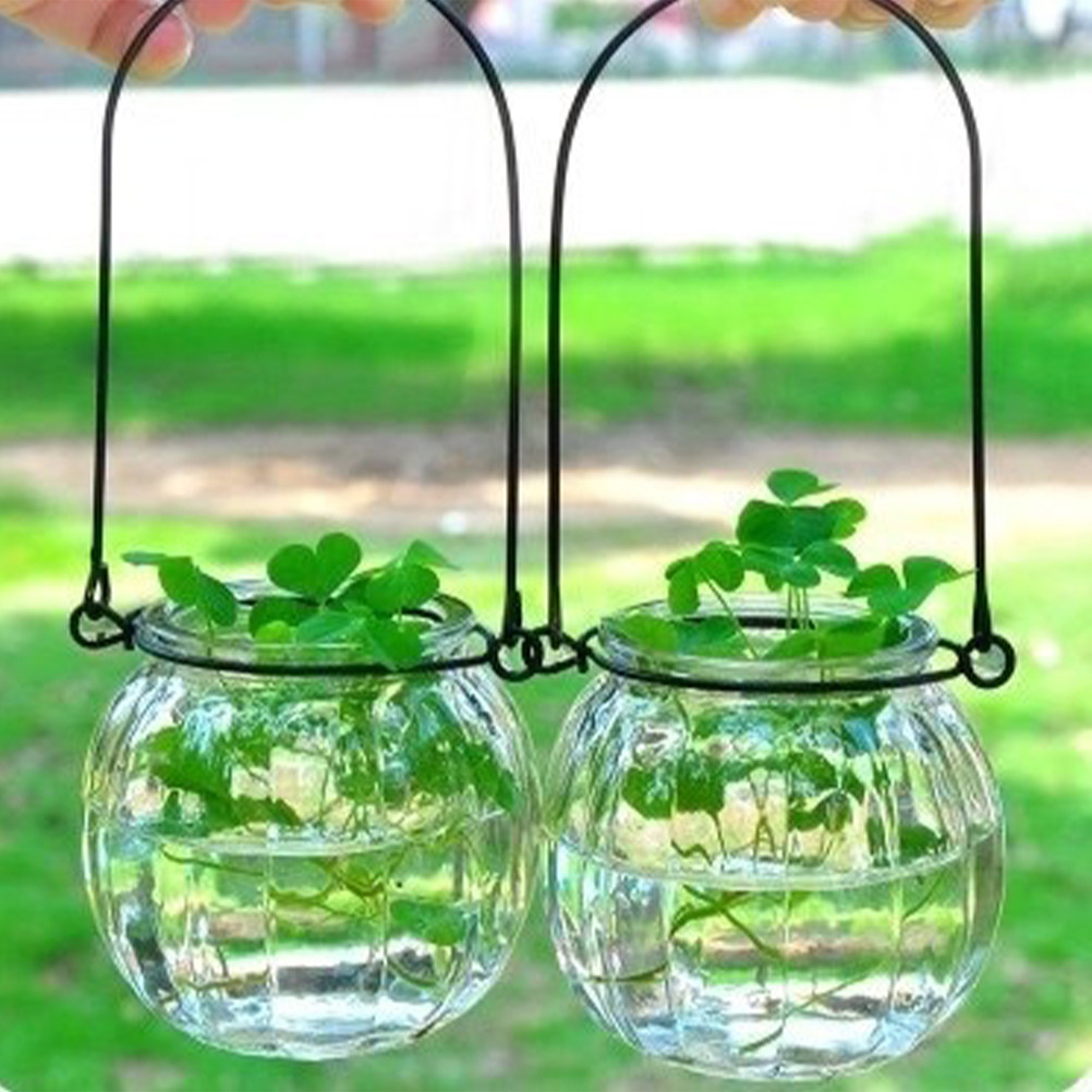 6Pcs Transparent Hanging Glass - Propagation Station Vase のレビューと価格