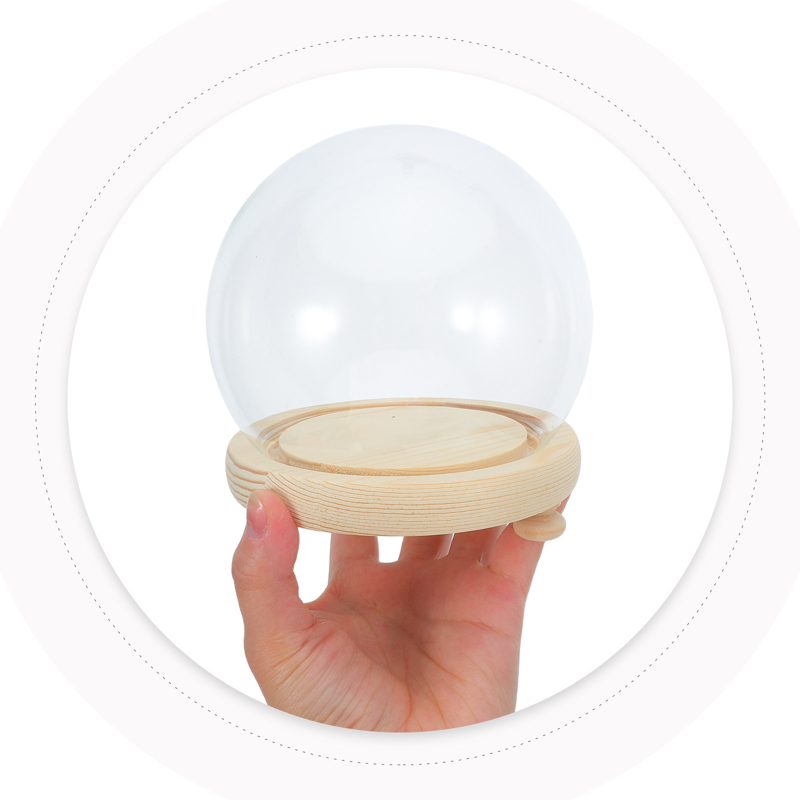 Dried Flower Glass Dome Displa - Plastic Dome Clear のレビューと価格