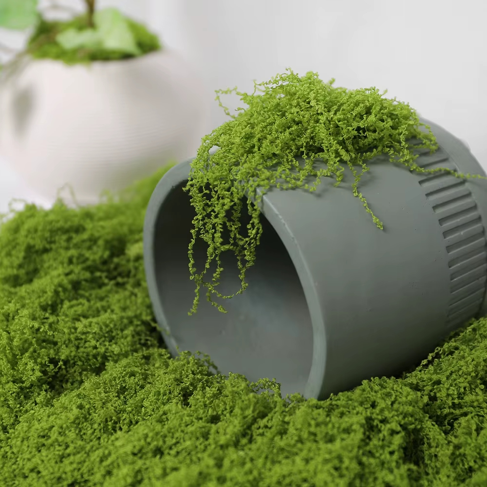 30/100g Artificial Green Plant - Sphagnum Moss Dry のレビューと価格