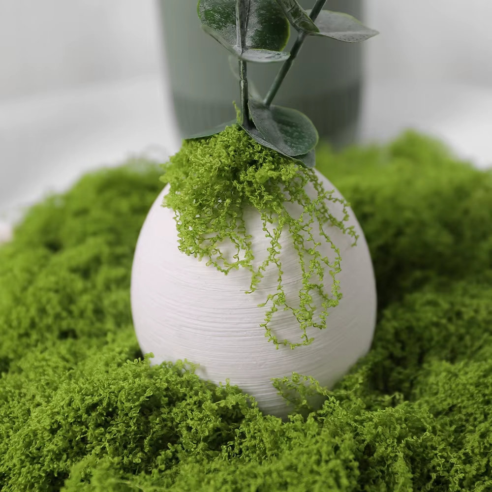 30/100g Artificial Green Plant - Sphagnum Moss Dry のレビューと価格