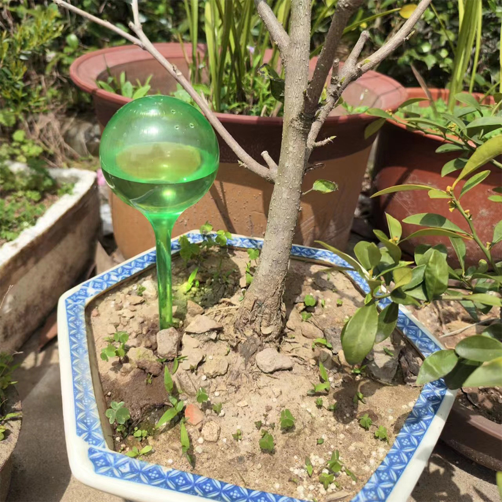 Automatic Plant Watering Bulbs - Self Watering Insert のレビューと価格