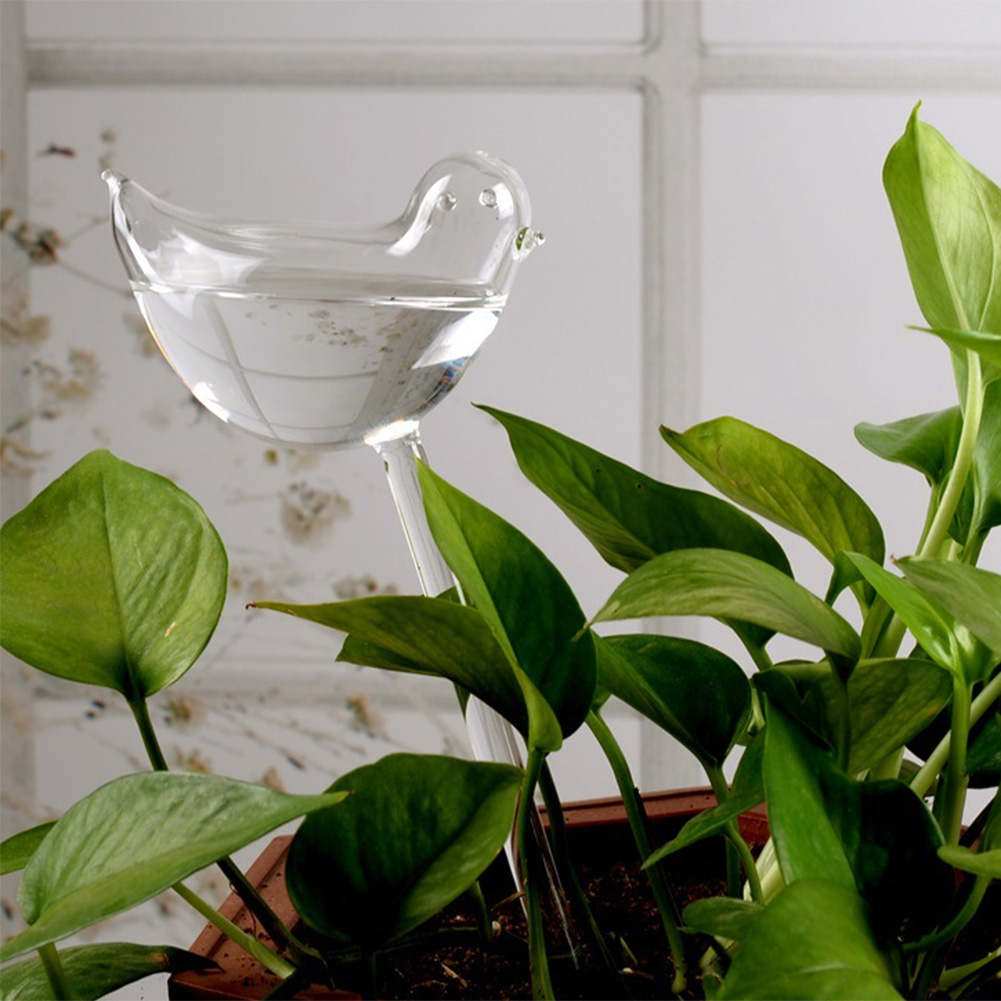 Automatic Plant Watering Bulbs - Self Watering Insert のレビューと価格