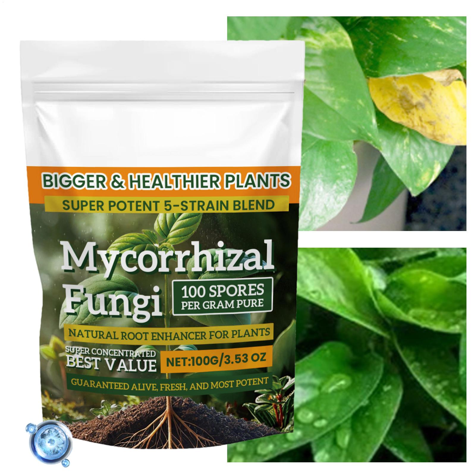 Plant Growth Enhancer Powder 1 - Rooting Hormone Powder のレビューと価格