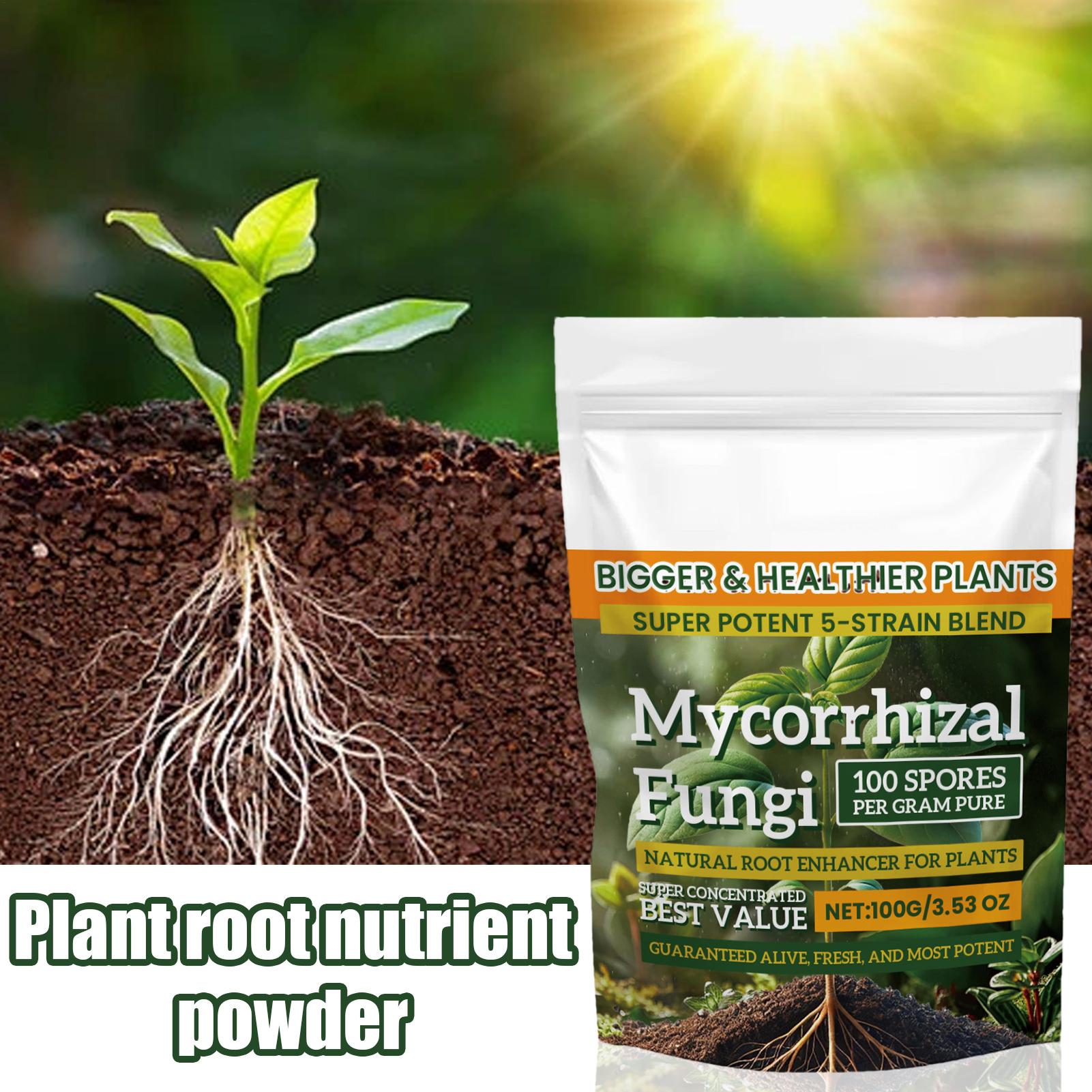Plant Growth Enhancer Powder 1 - Rooting Hormone Powder のレビューと価格