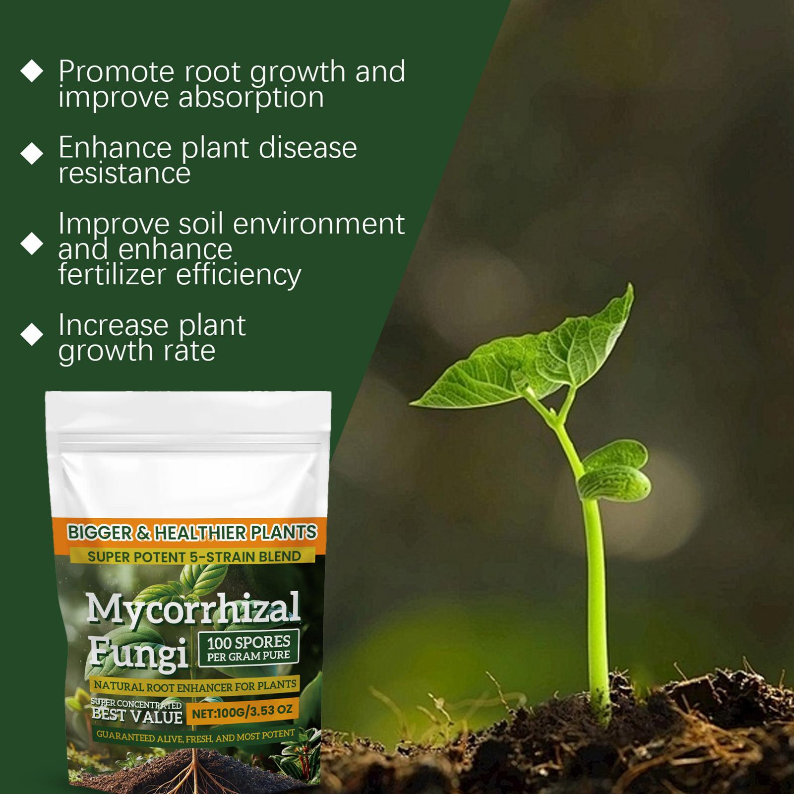 Plant Growth Enhancer Powder 1 - Rooting Hormone Powder のレビューと価格