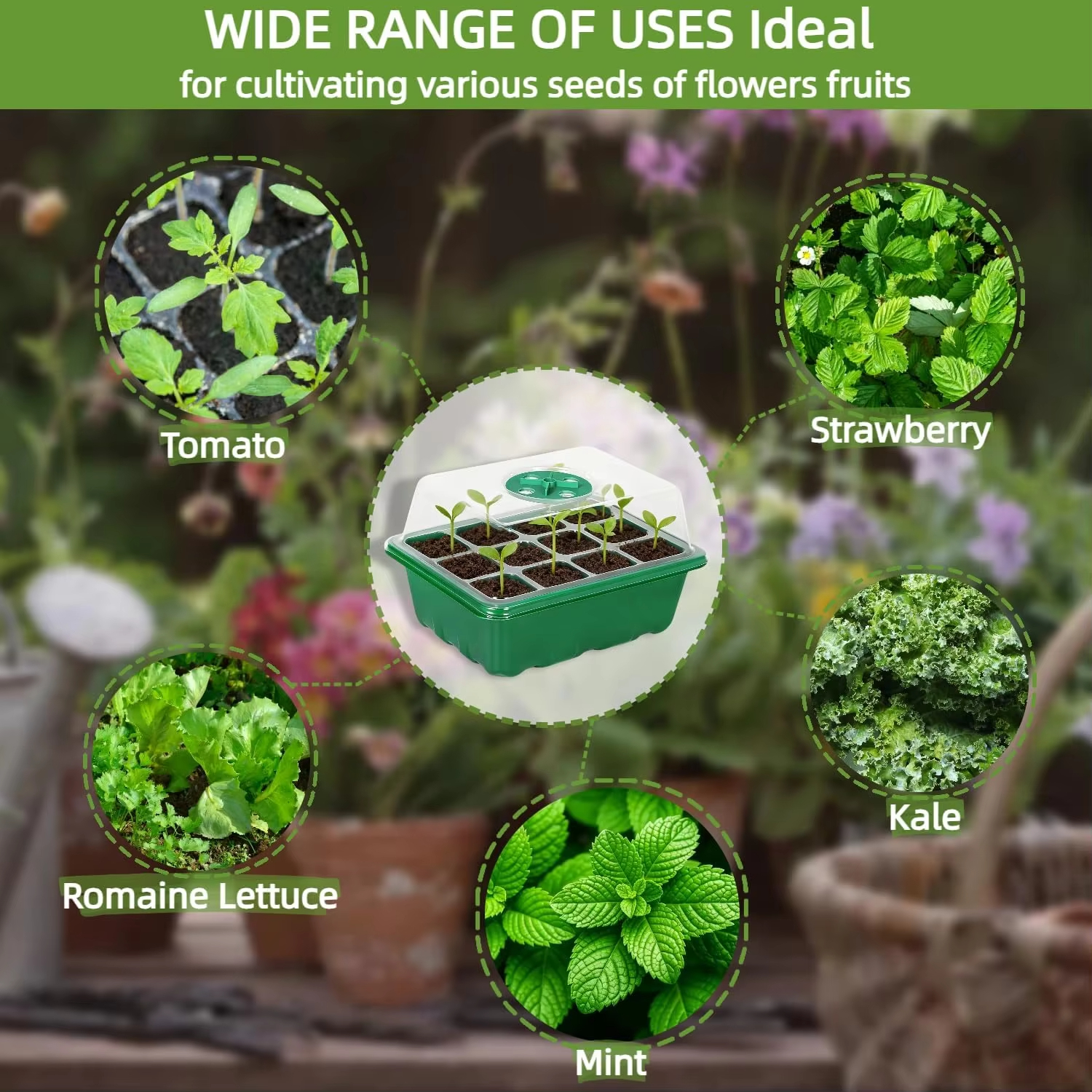3Pcs Seed Starter Tray Mini Gr - Humidity Dome Kit のレビューと価格