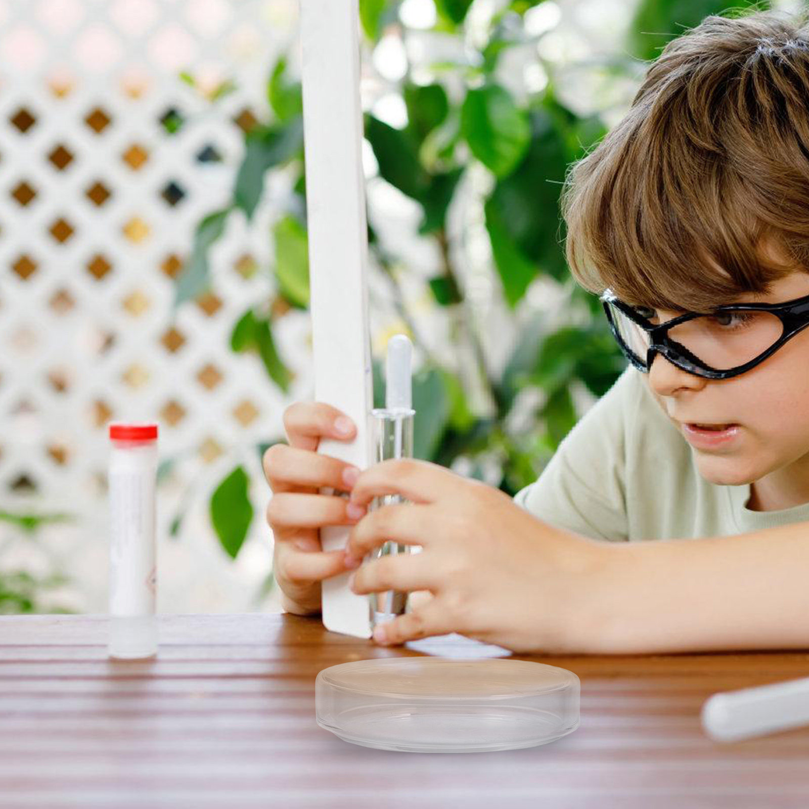 High Borosilicate Glass Petri  - Agar Tissue Culture のレビューと価格