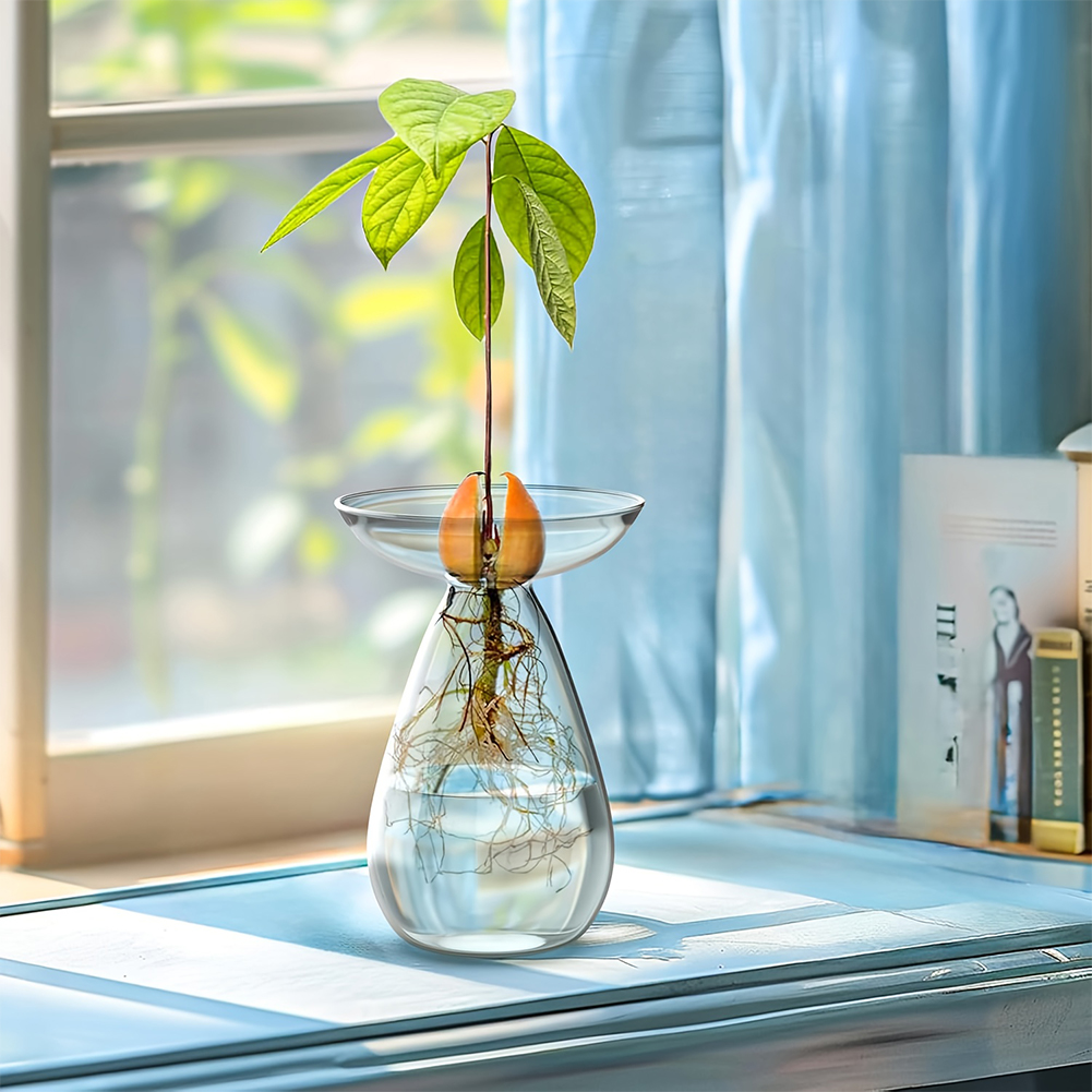 Avocado Seed Starter Vase Tran - Propagation Station Vase のレビューと価格