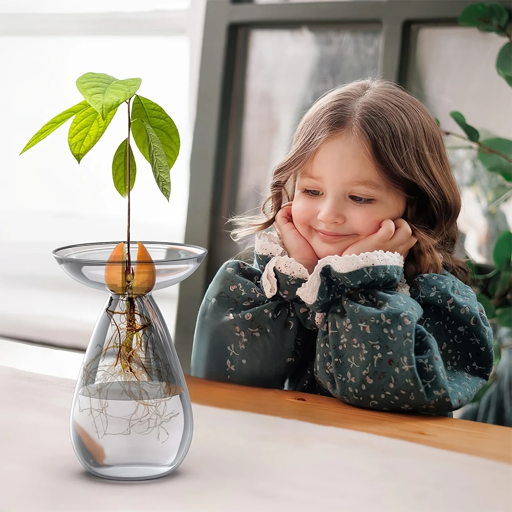 Avocado Seed Starter Vase Tran - Propagation Station Vase のレビューと価格