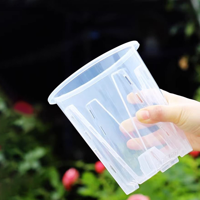 12cm for orchid Plant grow  Po - Self Watering Insert のレビューと価格