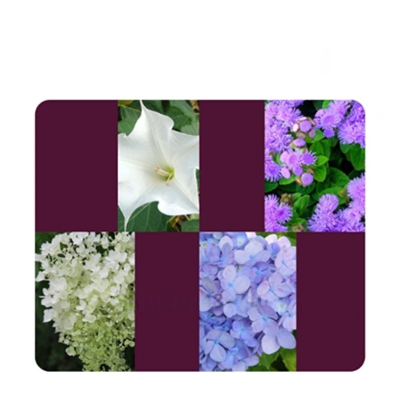 2bags Rooting Hormone Powder U - Rooting Hormone Powder のレビューと価格