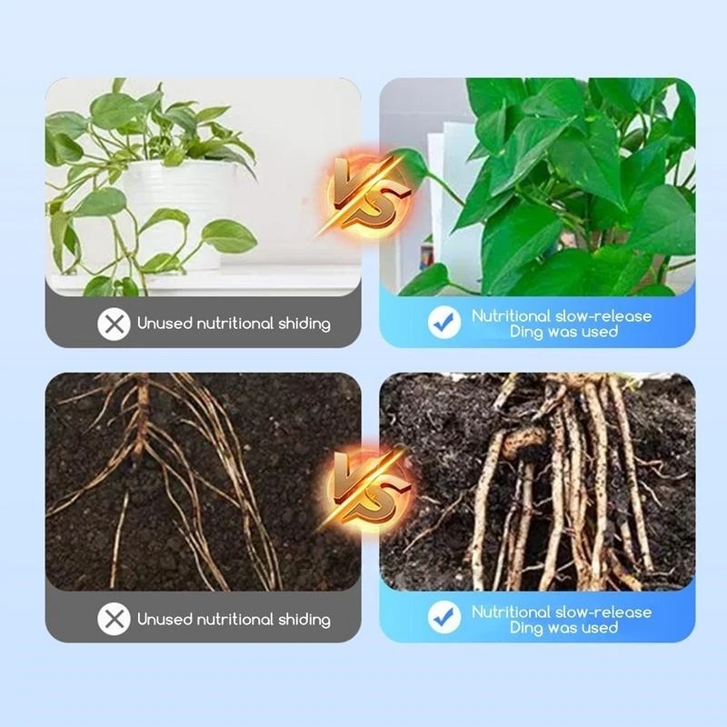 500g High-strength Rooting Hor - Rooting Hormone Powder のレビューと価格