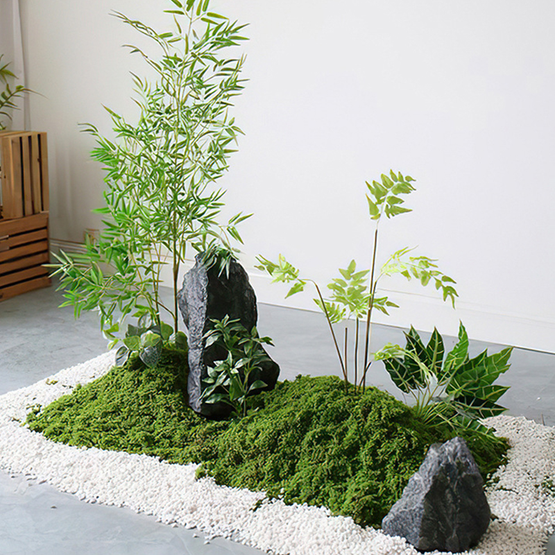 【P】50g Fake Moss DIY Crafts Gr - Sphagnum Moss Dry のレビューと価格