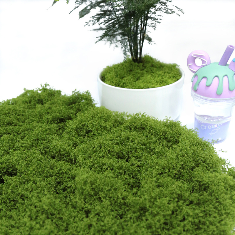 【P】50g Fake Moss DIY Crafts Gr - Sphagnum Moss Dry のレビューと価格