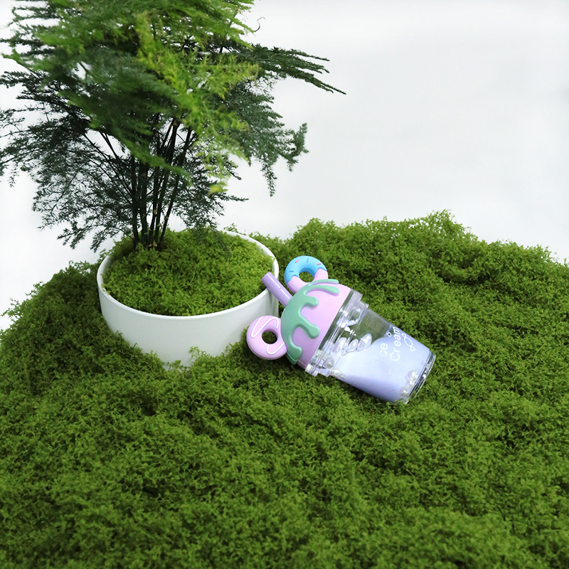 【P】50g Fake Moss DIY Crafts Gr - Sphagnum Moss Dry のレビューと価格