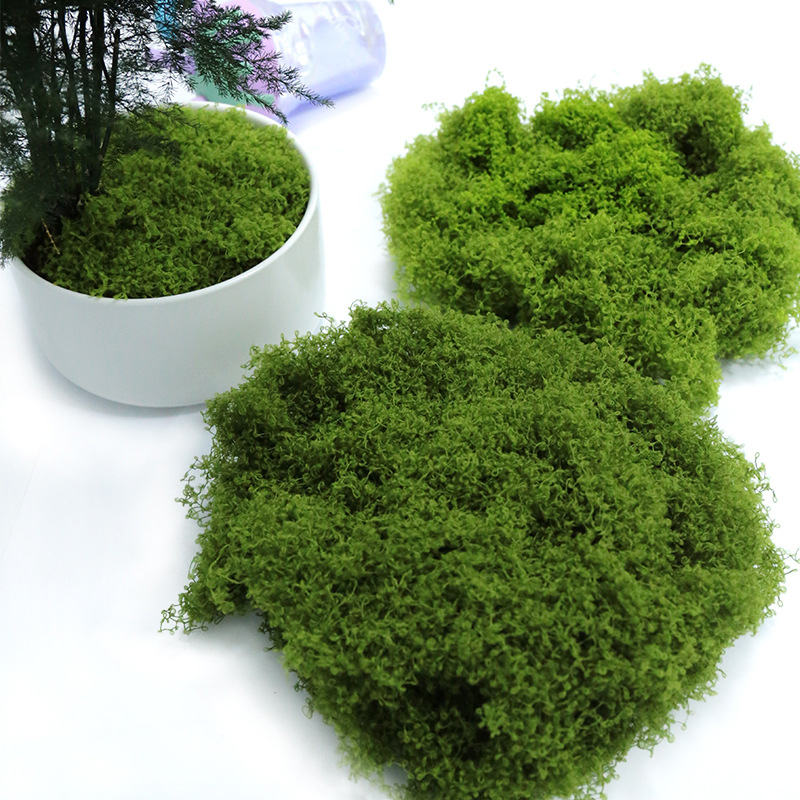 【P】50g Fake Moss DIY Crafts Gr - Sphagnum Moss Dry のレビューと価格