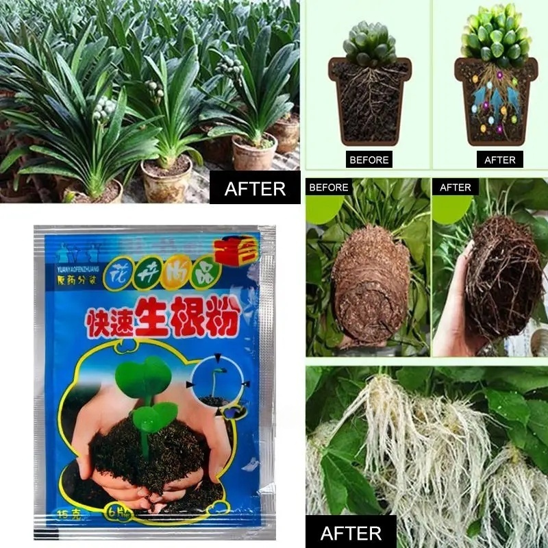5pcs Fast Rooting Powder Plant - Rooting Hormone Powder のレビューと価格