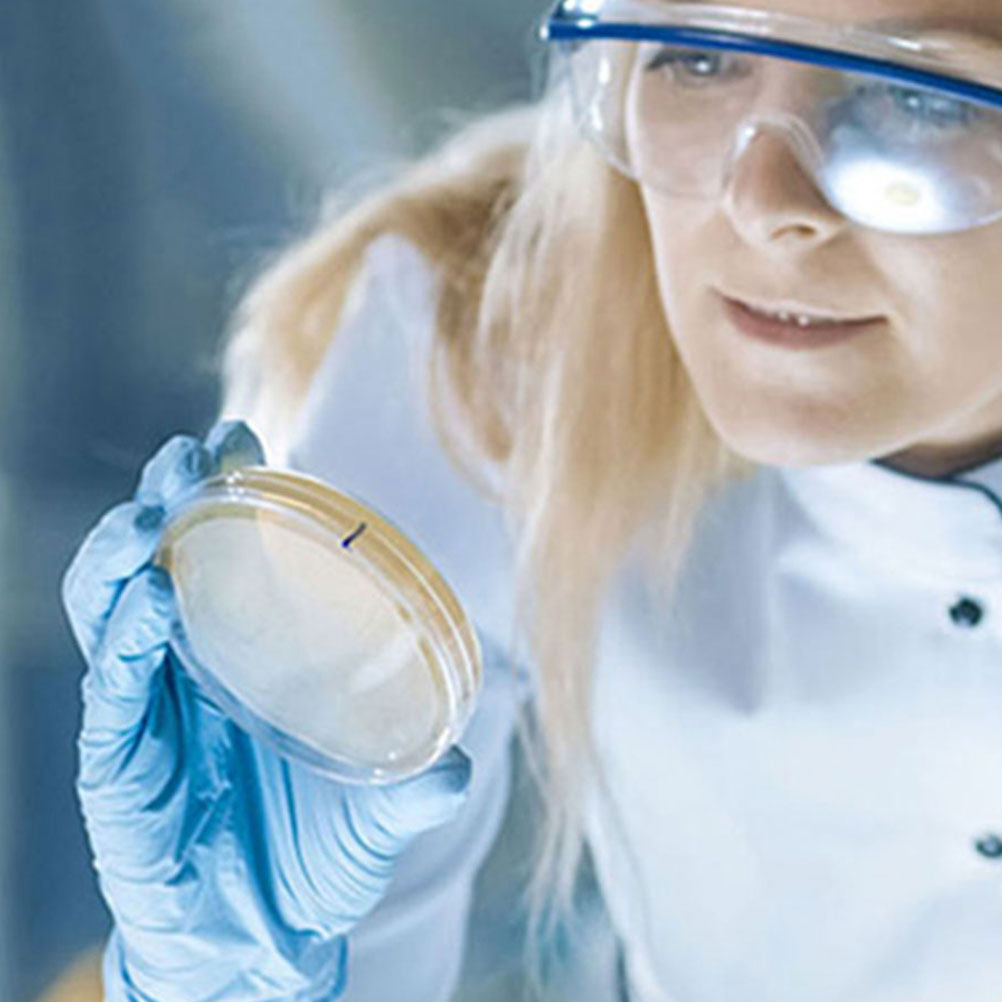 10Pcs Plastic Petri Dishes Tra - Agar Tissue Culture のレビューと価格