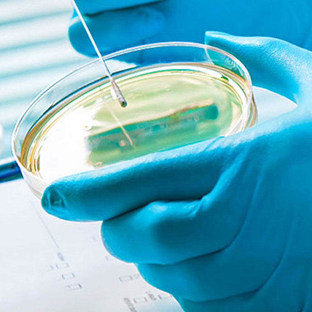 10Pcs Plastic Petri Dishes Tra - Agar Tissue Culture のレビューと価格