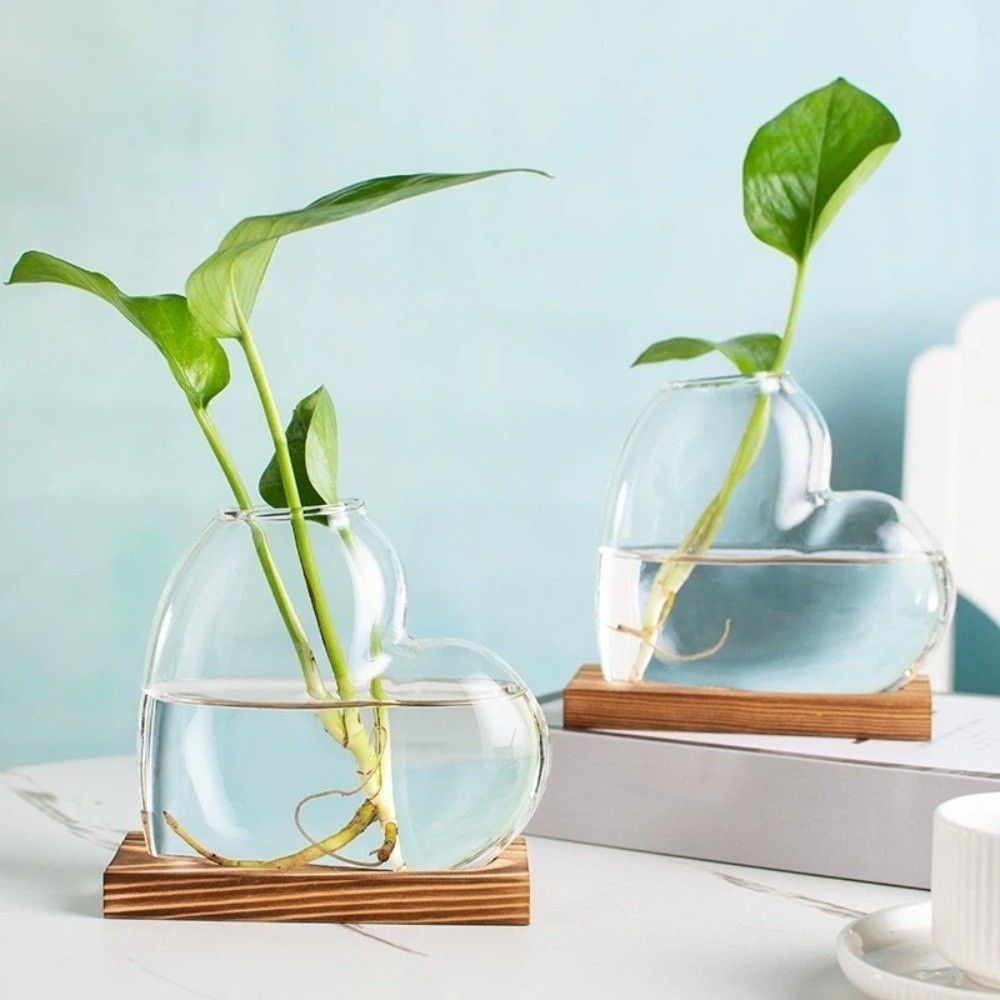 Transparent Hydroponic Glass V - Propagation Station Vase のレビューと価格