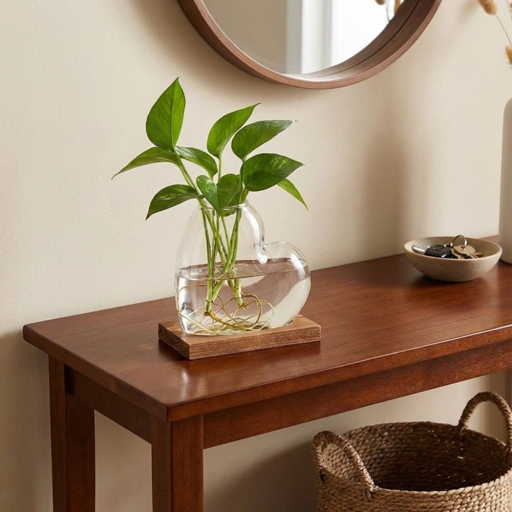Transparent Hydroponic Glass V - Propagation Station Vase のレビューと価格