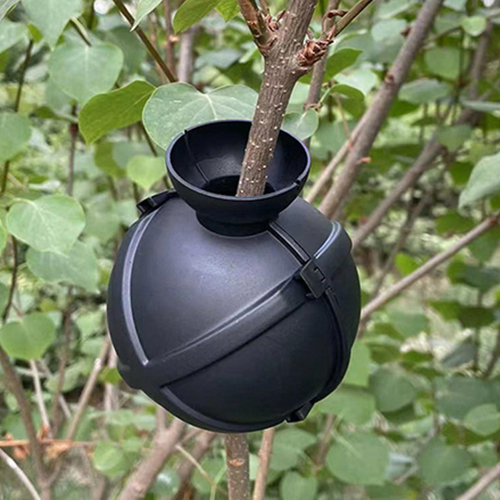 Garden Orchard Plants Grafting - Rooting Gel Clone のレビューと価格
